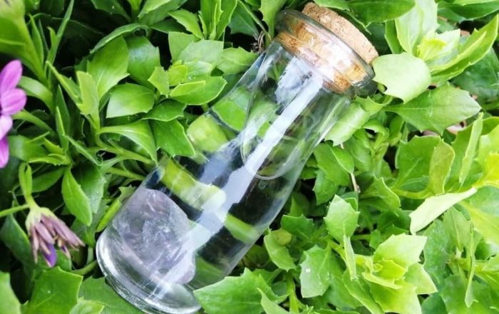 agua de cristal